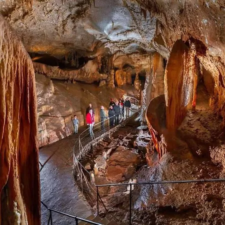 木屋 5 Personnes Vallee Du Lot Laburgade